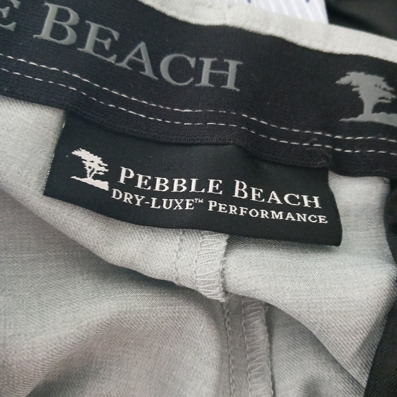 Size 38 Pebble Beach Dry Luxe Performance Mens Short Golf Athletic Gray - Picture 8 of 10
